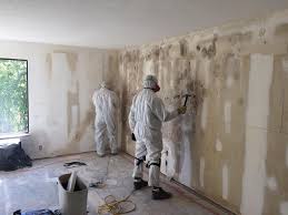 Best Mold Prevention Services  in USA